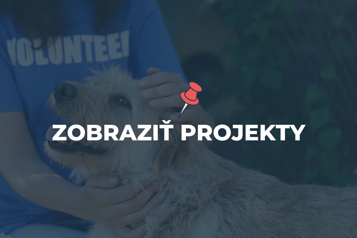 Pomoc zvieratkám | projekty pre darovanie 2% z daní | anosk.sk